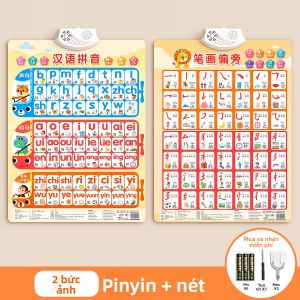 STARRY ARK | Bảng Tường Học Bảng Chữ Cái Phồn Thể với Đọc Tập Âm Đầu Âm Cuối Toàn Bộ âm Tiếng Sách Hình Có Âm Thanh