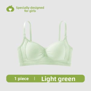 Baisina | Youth Development Bra