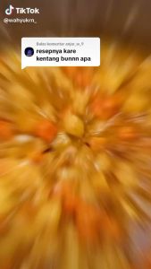 FINNA BUMBU MASAK KARE PACK 12 PCS 50 GRAM FUN CORNER DENGAN PAKING AMAN