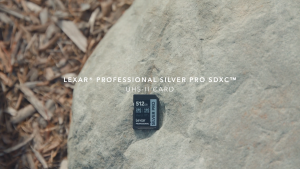 Lexar 256GB SDXC Professional Silver Pro