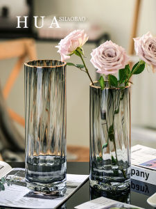 Nordic Simple Creative Luxury Transparent Glass Flower Vase for Water Cultivation of Wealth Bamboo And Lilies Living Room Table Decoration