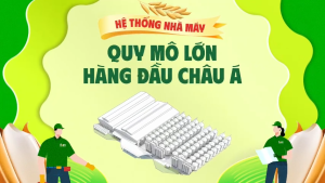 Gạo ST21 ngon Aan Túi 05kg - Bao bì mới - Chính hãng Gạo sạch Aan