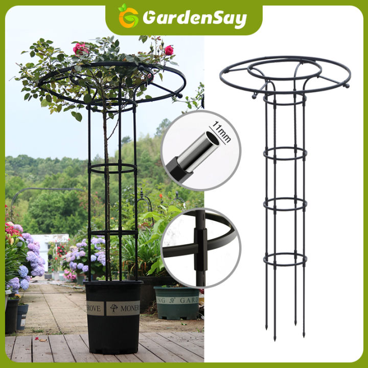 5 อันดับ ซุ้มไม้เลื้อยและซุ้มกุหลาบยอดนิยมสำหรับสวนสวย อัปเดตปี 2025