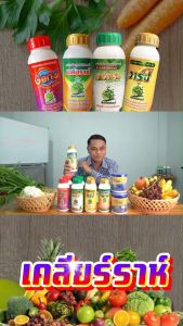 ปกป้องพืชจากแมลงปากดูด หนอน เพลี้ย ไม่มีสารตกค้างในพืชผลทางการเกษตร เคลียราห์ 4 ขวด สินค้าจัดส่งจากบริษัทของแท้100% สินค้าพร้อมจัดส่งใน1วัน