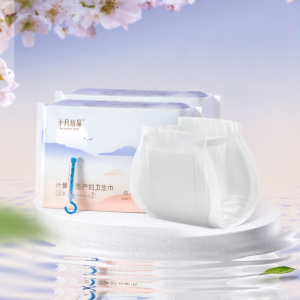 SHI YUE JIE JING | Medical Grade Postpartum Maternity Panty liners