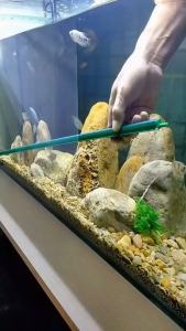 10-40cm Aquarium Bubble Stone/Air Bubble Curtain​/Single Outlet Air Pump Diffuser Strip​/​Diffuser Strip For Aquarium​