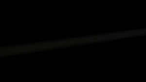 LCD+TS kompatible untuk VIVO Z5X (Z1 PRO) BLACK SUNSHINE