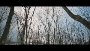 Nikon NIKKOR Z 180-600mm F5.6-6.3 VR Lens For Nikon Z | Nikon Singapore Warranty