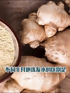 Hair growth shampoo Anti hair loss shampoo 500ml Herbal anti-hair loss improve hair quality nourish scalp 防脫發 洗發水