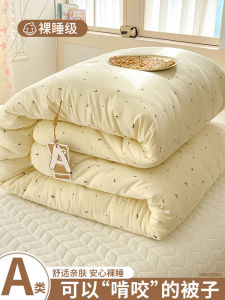 Washable Cotton Quilt Winter Warm Summer Cool Air Conditioner Spring Autumn Core Student Single Double Summer Bedding Four Seasons Universal
