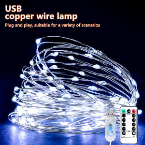 OSIDEN | 5M/10M USB Fairy String Lights USB Copper Wire Garland With 8 Lighting Modes Remote Control For Living Room Bedroom Home Decor