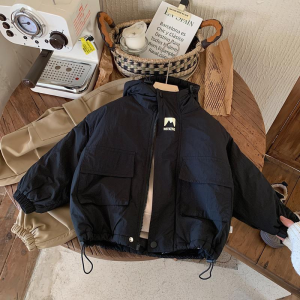 Thickened Hooded Jacket for Boys Kids Winter New Style Pure Color Korean Style Children Baby Fashionable Bread Clothes Trendy