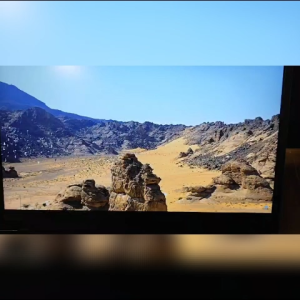 Lenovo T490 14” Touch/Non-Touch Screen Laptop | i5 8th Gen | 8/256 | W10Pro | MS Office 2021 Preloaded | Used in Good Condition