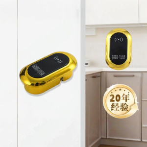 IC Smart Lock