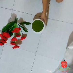 HOA đồnġ tiềṇ GIẢ .dùng trang trí nhà cửa .trang trí quán.nhà hàng .