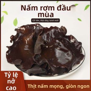 Nấm Mèo Đen Nguyên Chất Không Sấy Khô Không Sử Dụng Chất Hấp Thụ Ẩm Giòn Béo Không Rễ Xuất Xứ Đông Bắc