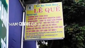 (Lê Quế) Tinh dầu khuynh diệp Lê Quế (Eucalyptus Essential Oil) Giảm ngạt mũi sổ mũi viêm họng Lọ 10-50ml Koshka Home