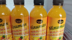 Mangga Harum Manis Asli RTD 2025 | Minuman Ready to Drink | Fresh Mango Juice Perlis | Buatan Tempatan