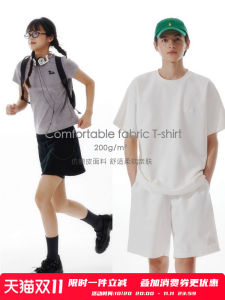 PSO Brand Mens Loose Fit Short Sleeve T-Shirt 200g Suede Fabric Animal Logo Summer Casual Polyester Blend round Neck Tee