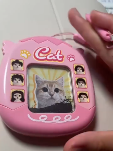 sg【READY STOCK】Magnetic Cat Hairstyle Drawing Board