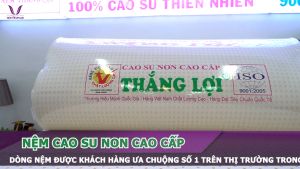 NỆM TẠI NHÀ MÁY SẢN XUẤT CAO SU NON CAO CẤP THẮNG LỢI CHÍNH HÃNG - BẢO HÀNH 15 NĂM - QUÀ TẶNG 7 MÓN - ĐƯỢC SỬ DỤNG THỬ 30 NGÀY ĐẦU
