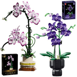Creative Orchid Cymbidium Eternal Flowers Potted Plant Building Blocks Simulation Phalaenopsis DIY Bricks Toys Valentines Gift