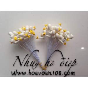 Nhuỵ hoa lan ( 1bó 25 cái)
