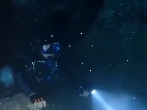 ODNUM Professional Diving Flashlight: 150M Diving Depth & IPX6 Waterproof Lighting