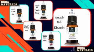 (HCM) Tinh Dầu Khuynh Diệp BOBA Nguyên Chất Chuyen Dùng Cho Máy Công Nghiệp Tạo Hương Thơm Làm Ấm Cơ Thể