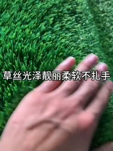 3 Cm Grassmat Rumputgrass Mat Rumput Sintetis Swiss Premium Termurah (harga Pabrik) Anti Ultraviolet Dan Ada Pori Untuk Sirkulasi Air Dekorasi Taman Rumput Golf Indoor Outdoor Import Murah