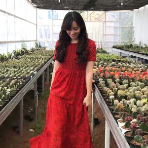 Ginsela 1pc Hair Tonic | Atasi Rambut Botak & Rambut Rontok Ginsela Perawatan Rambut Atasi Kebotakan Pada Rambut