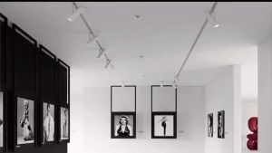 YHLAMP Track Lighting Led dimmable track lighting Ceiling Light 30W 20W 10W Warm White LED COB Rail Spotlights Lamp Leds Tracking Fixture Spot Lights eplace Halogen Lamps Bulb for Store Shop Mall Exhibition Light