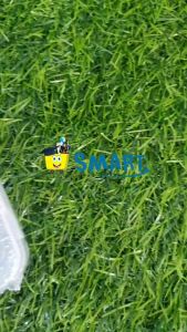 V-TEC OIL PASTEL OP 1224/24C