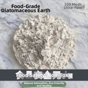 Jiaxun | Food-Grade Ultrafine Diatomaceous Earth Powder 300 Mesh