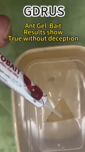 PEST Eco Friendly Ant Cockroach Lizard Gel Baits Ubat Semut Ubat Lipas Ubat Cicak Sangat Berkesan Natural Insect Killer Rumah Tangga Malaysia