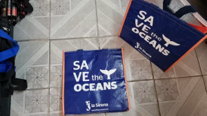 Túi Bạt tiện ích đi chợsiêu thị bên ngoài lớp bạt bên trong có lớp nhiệt kích thước (36x22x36)