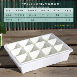 8-Caliber Succulent Plastic Square Basin Storage Basket Water Pan Balcony Greenhouse Flower and Vegetable Seedling Planting Cutting Plate