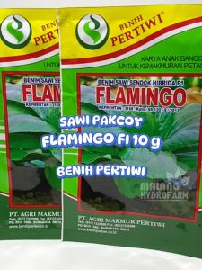 Benih Mentimun Mira 25 Gram: Varian Unggulan Benih Pertiwi