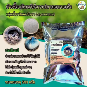 หัวเชื้อจุลินทรีย์จาวปลวกแบบแห้ง หัวเชื้อจุลินทรีย์แบบแห้ง