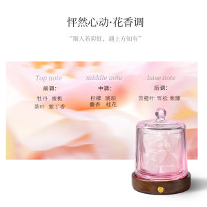 Song Dynasty Linglong Diffuser Stone Essential Oil Aromatherapy Gift Box Bedroom Decorative Piece Christmas New Year Birthday Present