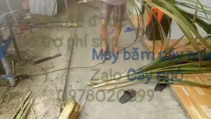 Chuyên bán và phân phối máy băm cỏ  băm chuối toàn phát chính hãng