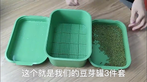 3Pcs Seed Sprouter Tray with Drain Holes / Bean Sprouts Seedling Pots / Breathable Germination Nursery Tray / Soilless Growing Gardening Container