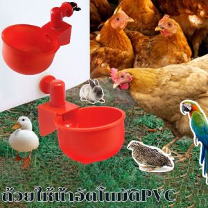 【Huahua】พร้อมส่ง ถ้วยให้น้ำอัตโนมัติPVC/ไก่/นกกระทา ปรับน้ำได้