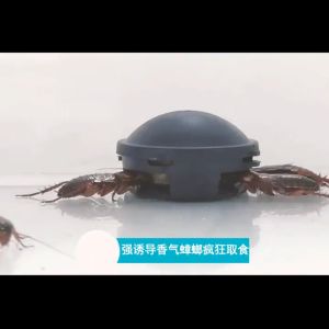 【new upgrade】Powerful Cockroach killer Cockroach eliminator Multi insect killer cockroach medicine Cockroach catcher Trap black box to kill cockroach lion tiger insect katol