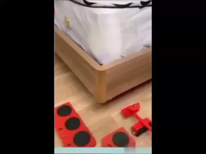 <𝙇𝙖𝙯𝙎𝙜𝙈𝙖𝙡𝙡> Furniture Lifter Mover Set 5pcs (Red) Lift and Roll Very Popular for Every Home