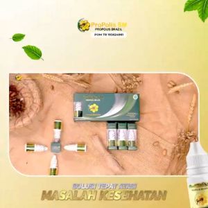 Propolis SM Brazil With Nano Technology Asli Brazilian Propolis Untuk Segala Penyakit Degeneratif