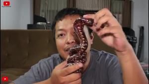 SHIFT KNOB MOTIF COBRA LILIT MINI / SHIFT KNOB / TUAS PERSNELING MOBIL DIESEL