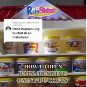 PINTURA SA BUBONG WALANG AMOY RAIN OR SHINE SUN ROOF / SUNROOF WATERBASED ROOF PAINT LITER GALLON