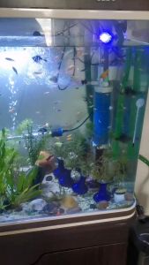 YIOU เครื่องกรองน้ำตู้ปลา 4 In 1 การกรอง รีไซเคิล ดูดขี้ปลาในตู้ปลาอย่างแรง 4 In 1