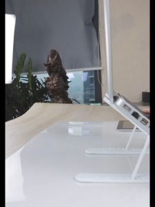 Adjustable Foldable Non-slip Desktop Notebook Holder Laptop Stand